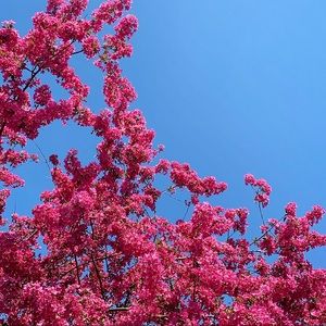 Meet your Posher, Mindy